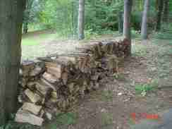 An old woodpile